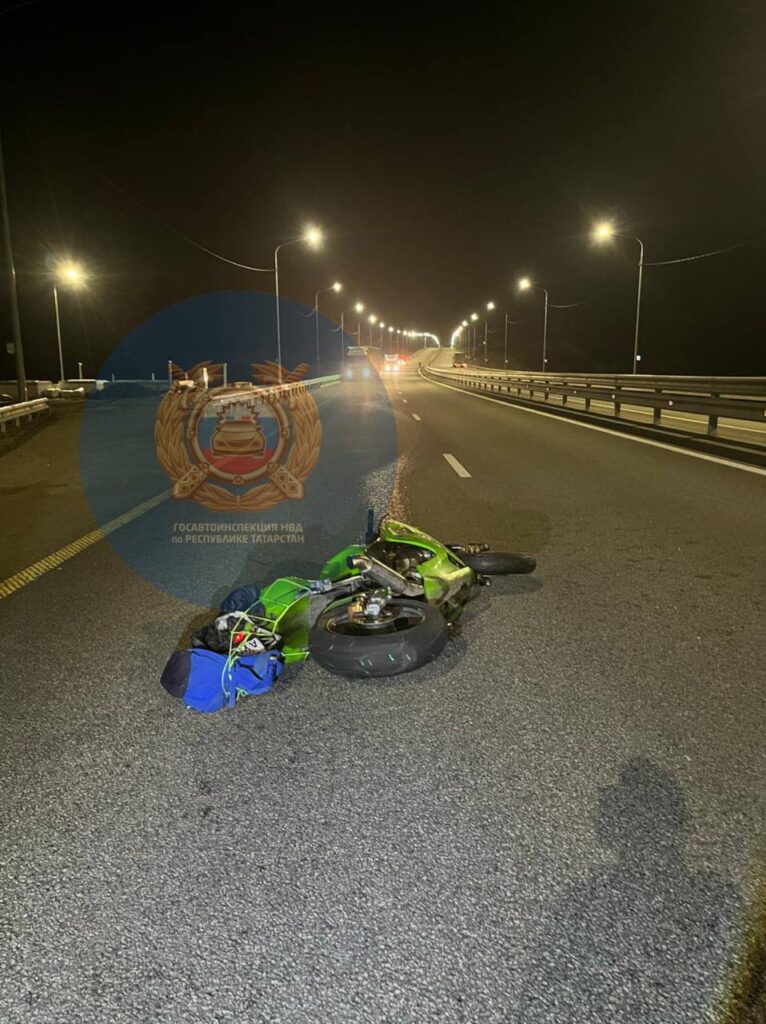 Молодой байкер на большой скорости врезался в лося и погиб на трассе М-12 в Татарстане