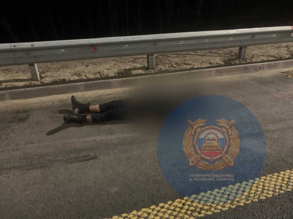 Молодой байкер на большой скорости врезался в лося и погиб на трассе М-12 в Татарстане