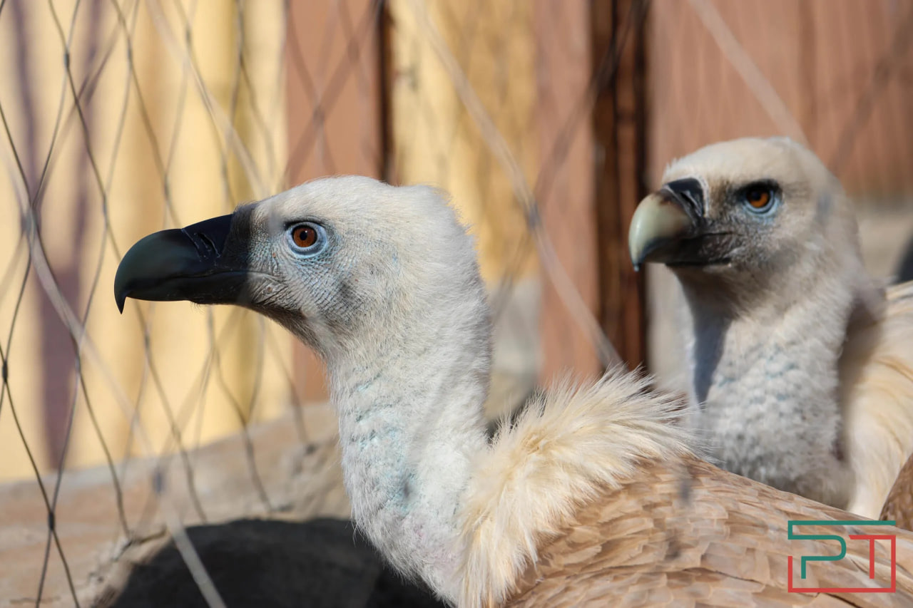 С 1 мая казанский зооботсад перейдет на летний режим работы