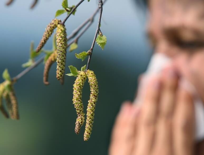 Цветут цветы, текут носы: в Татарстане начался сезон аллергии на пыльцу