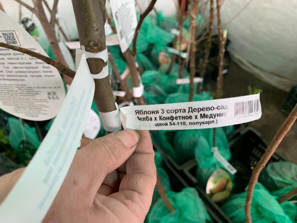 Грядки ждут посадки: татарстанцы открывают дачный сезон