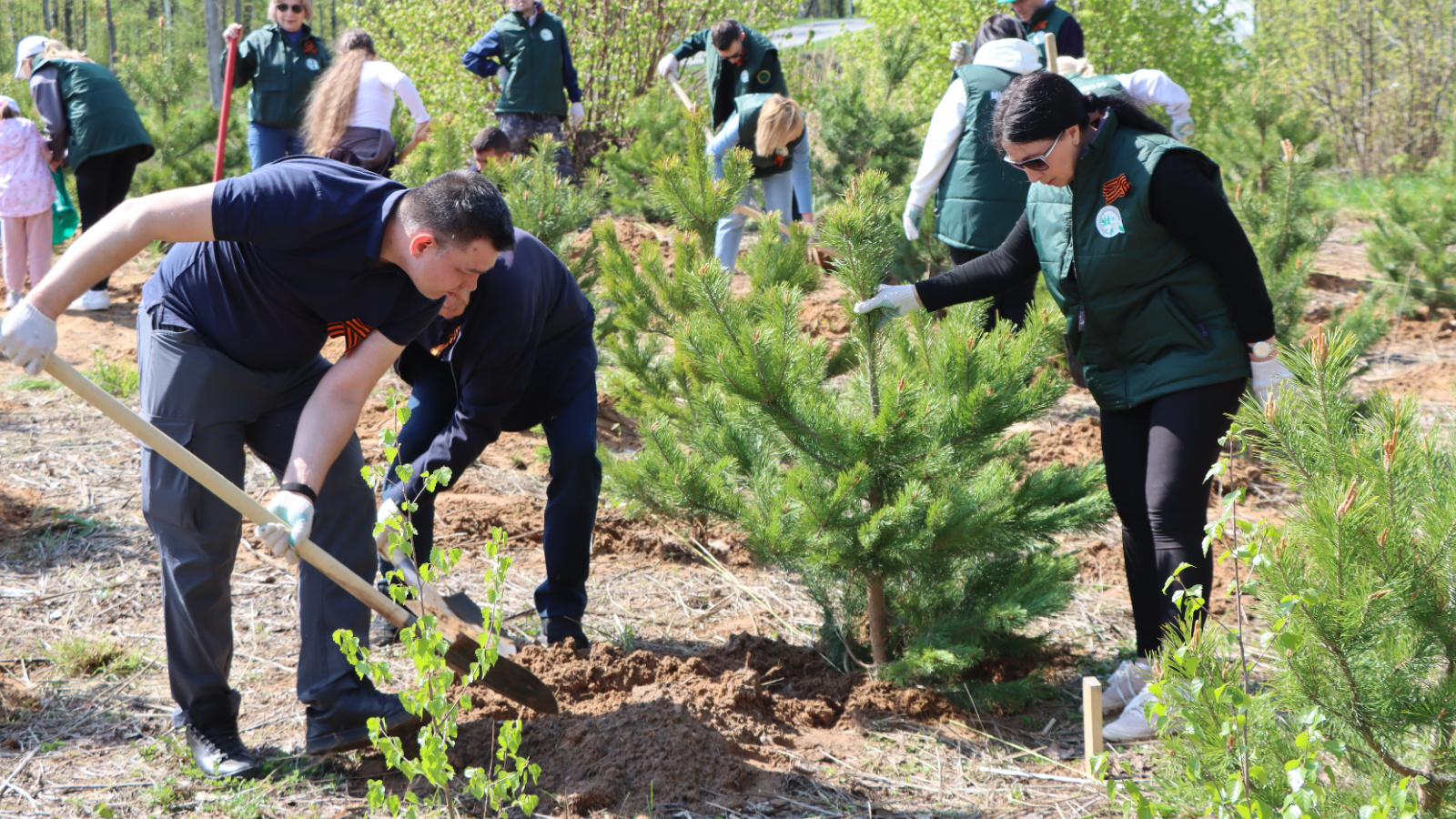 Участники «Сада памяти» в Татарстане посадили 1,5 млн деревьев