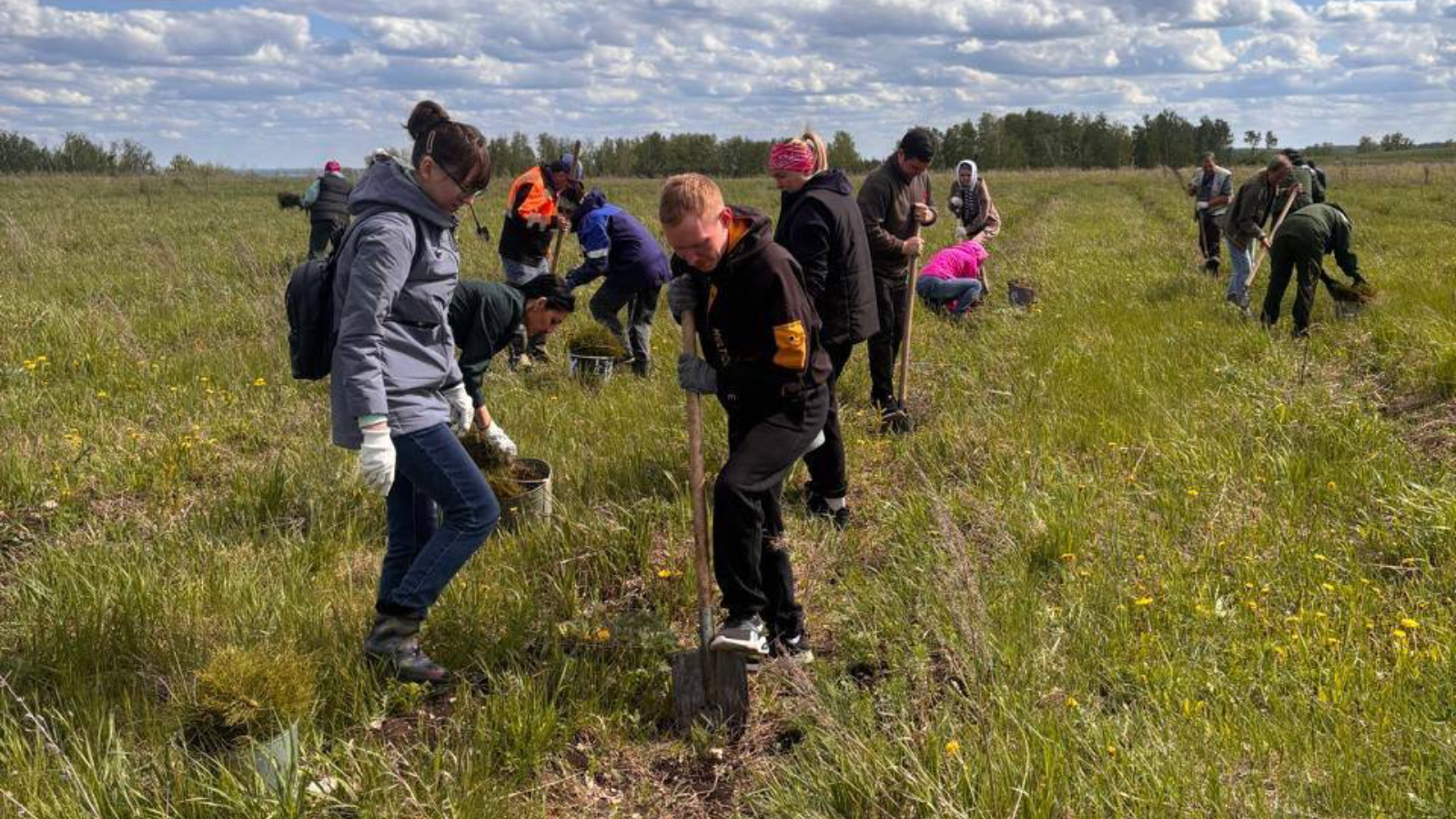 В Бавлах участники акции «Сада памяти» посадили более тысячи саженцев