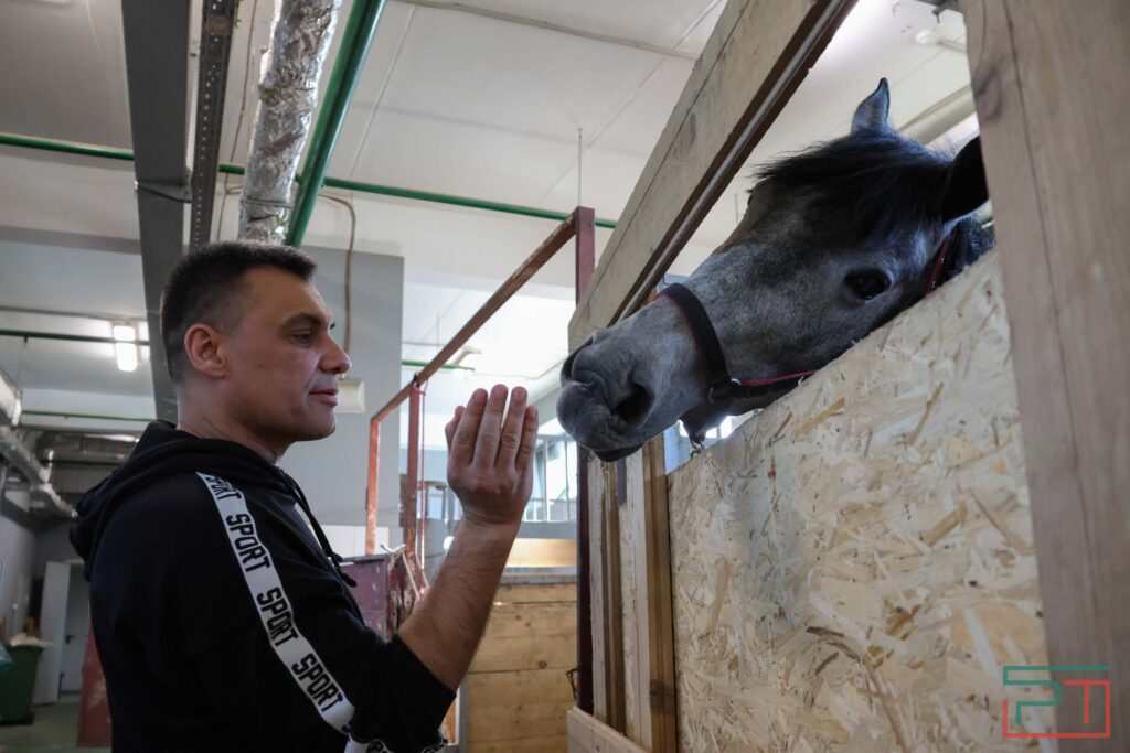 Как Лютик стал Лютым: Казанский цирк купил трех коней для нового шоу «Мирас»