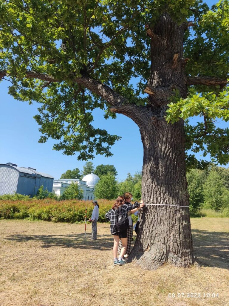 Царей пережили и нас переживут: вековые деревья в Татарстане с возрастом только крепчают