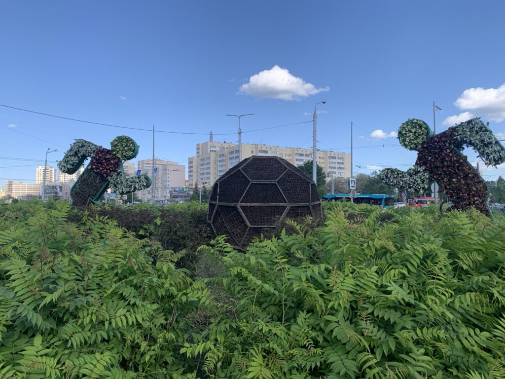 В Татарстане определилась цветочная столица. И это не Казань