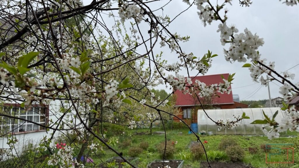 Советская халупа на лето, средневековый замок на сутки: какую дачу можно снять в Казани