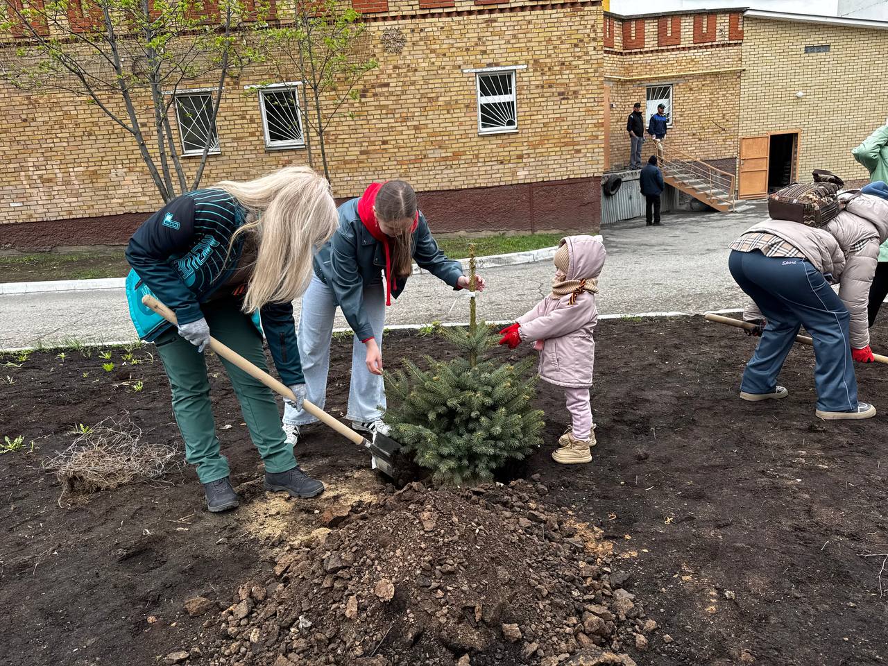 В Менделеевске посадили 80 елей в честь 80-летия Победы