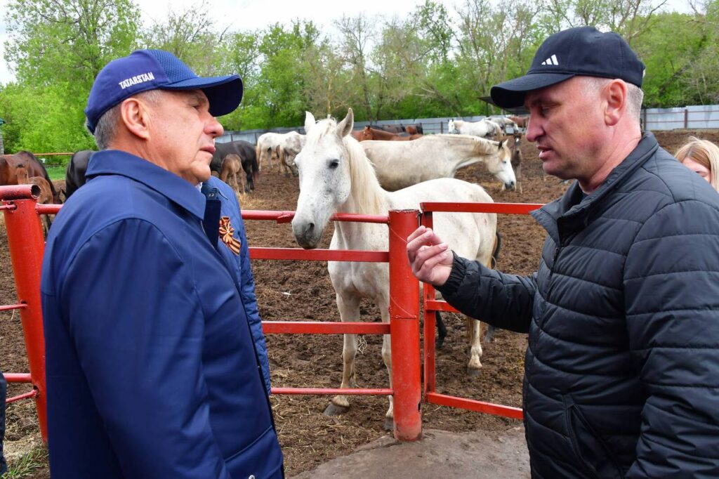 Минниханов посетил конный завод в Татарстане, поставляющий рысаков для полка Ким Чен Ына