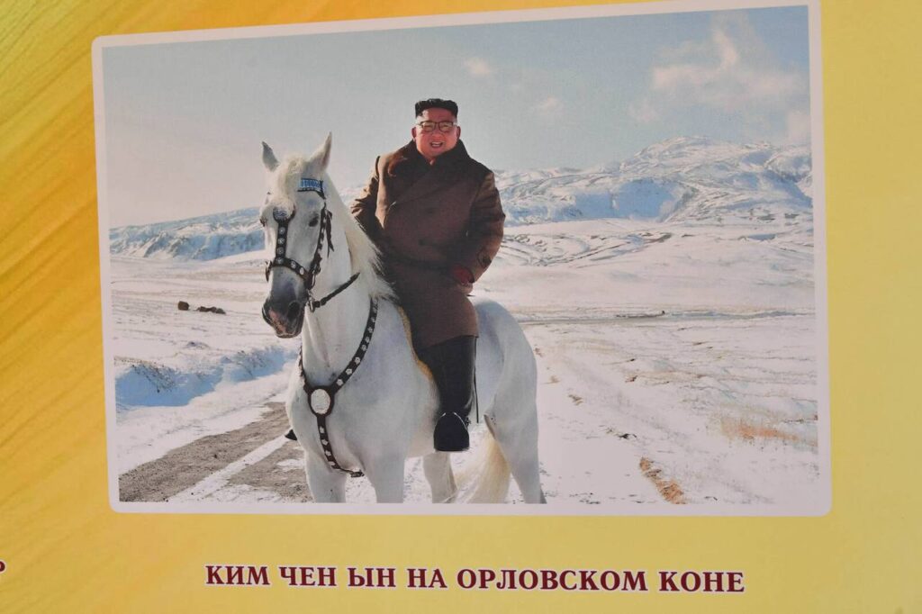 Минниханов посетил конный завод в Татарстане, поставляющий рысаков для полка Ким Чен Ына
