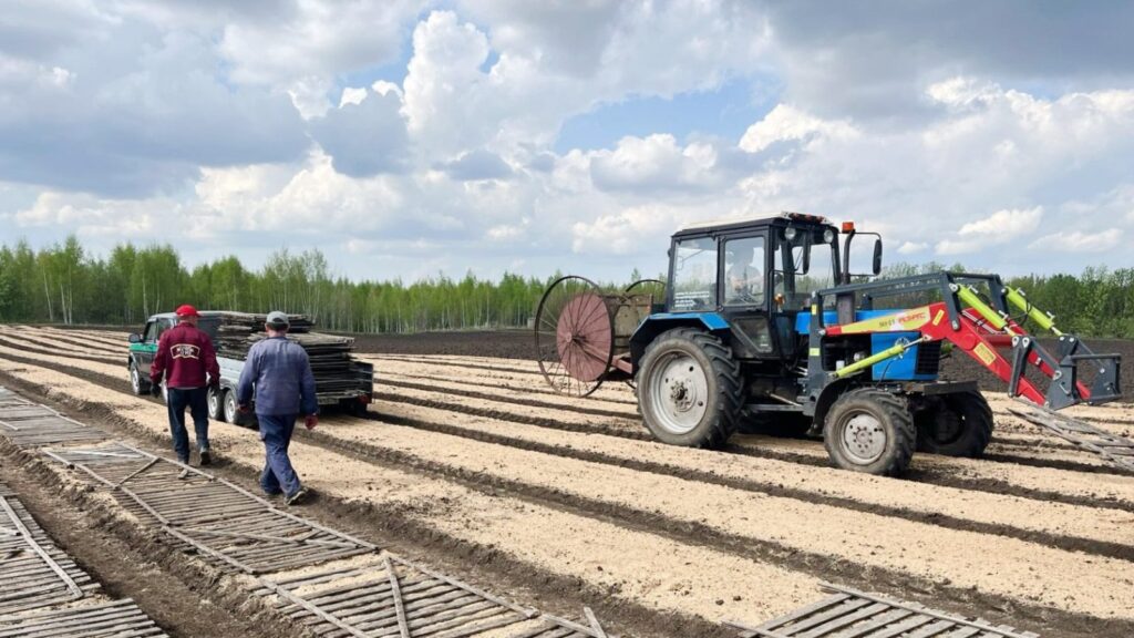 В питомниках Татарстана посеяли семена деревьев на площади 10 га