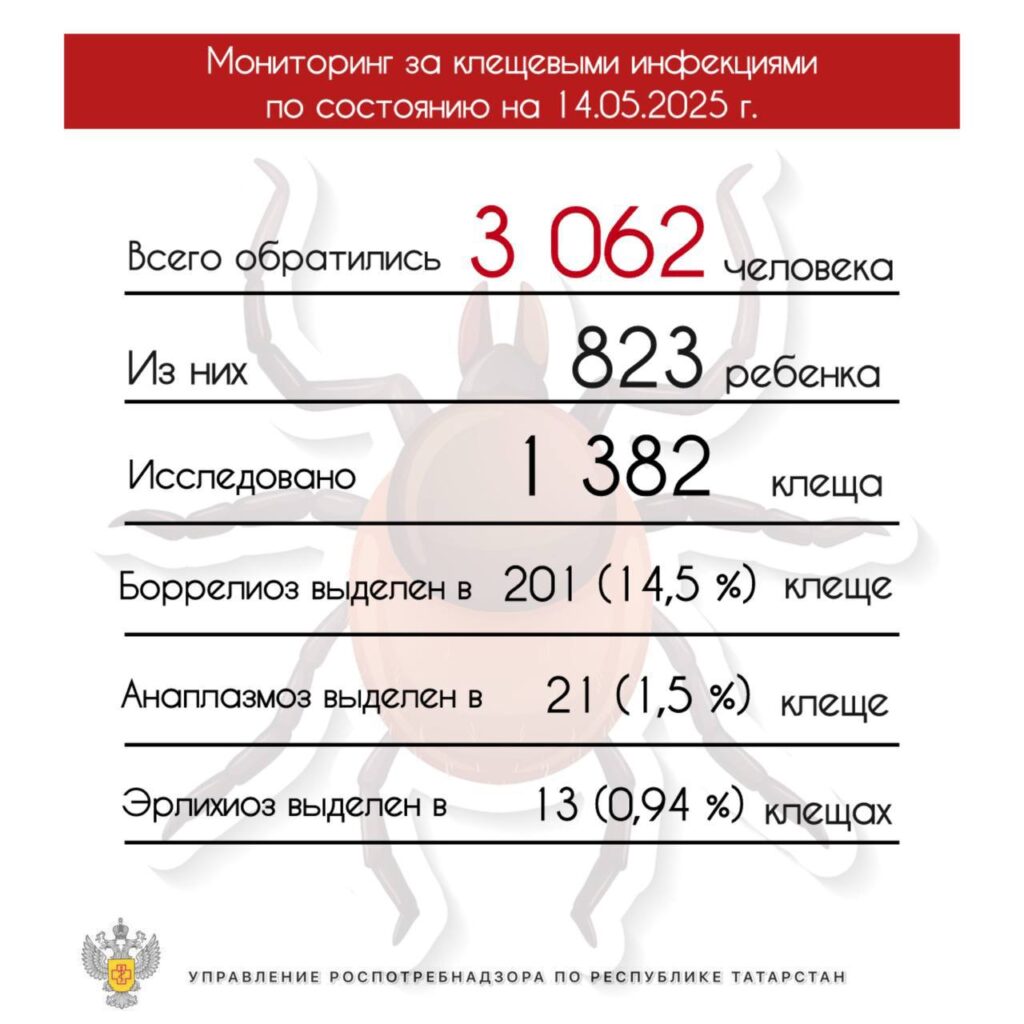 Первый случай иксодового клещевого боррелиоза выявлен в Татарстане