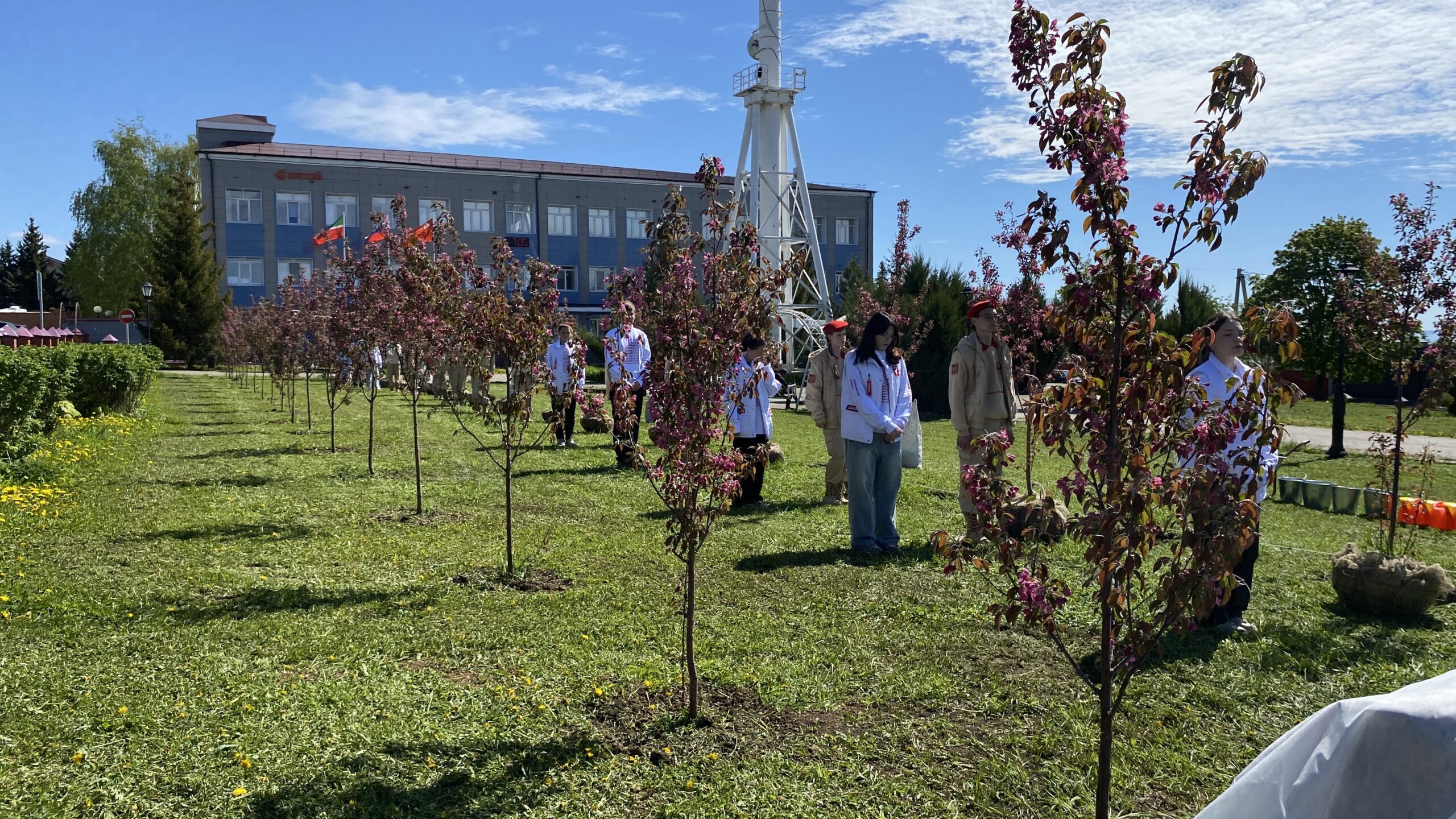 В Лаишево заложили аллею Славы связистам