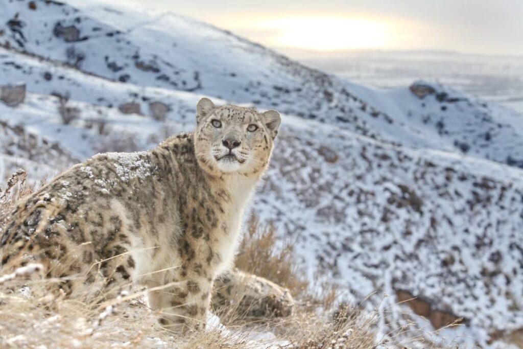 Генконсул Эрик Бейшембиев: Татарстан отличает гостеприимство, профессионализм и стабильность