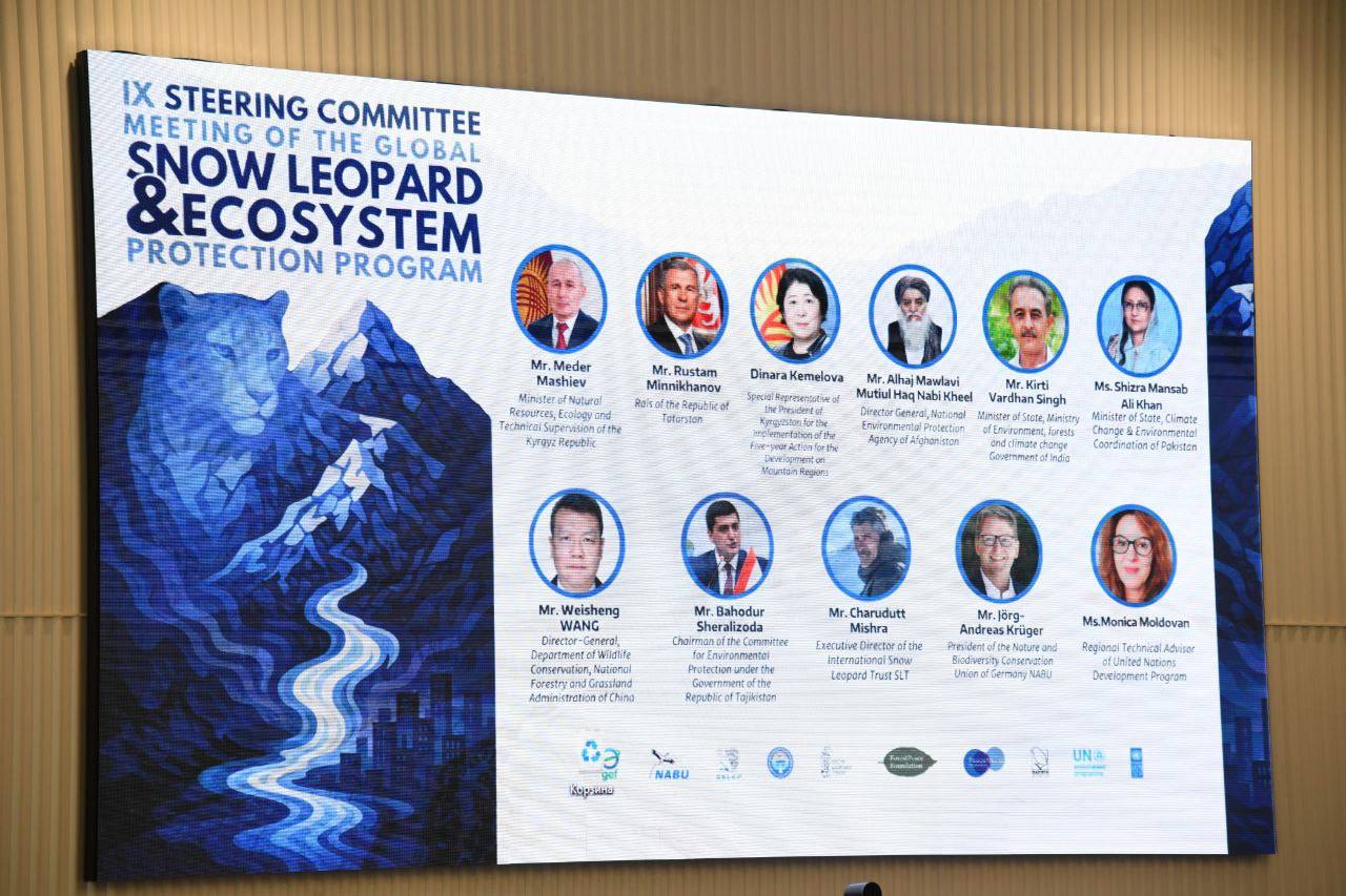 Минниханов в Киргизии рассказал о работе центра по сохранению снежного барса