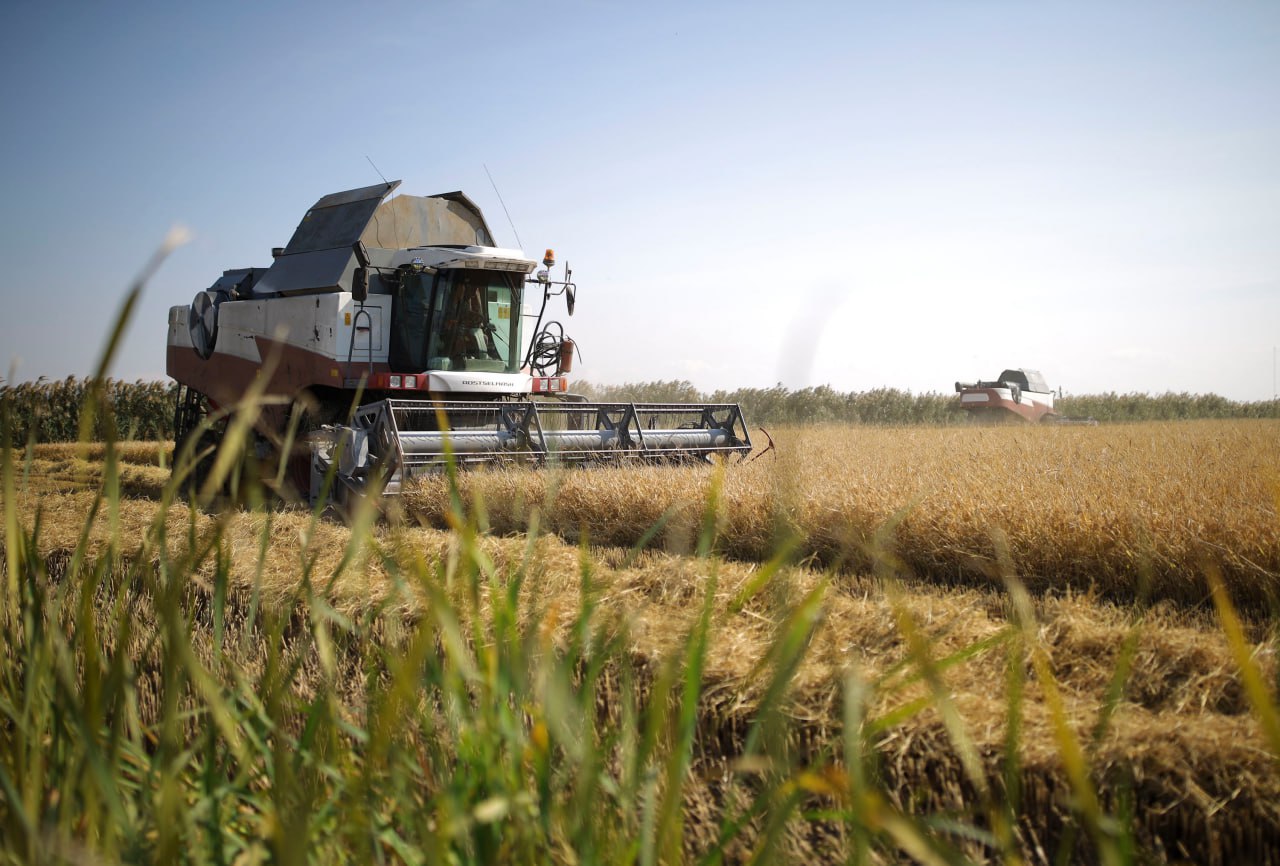 правительство России продлило запрет на вывоз риса-сырца