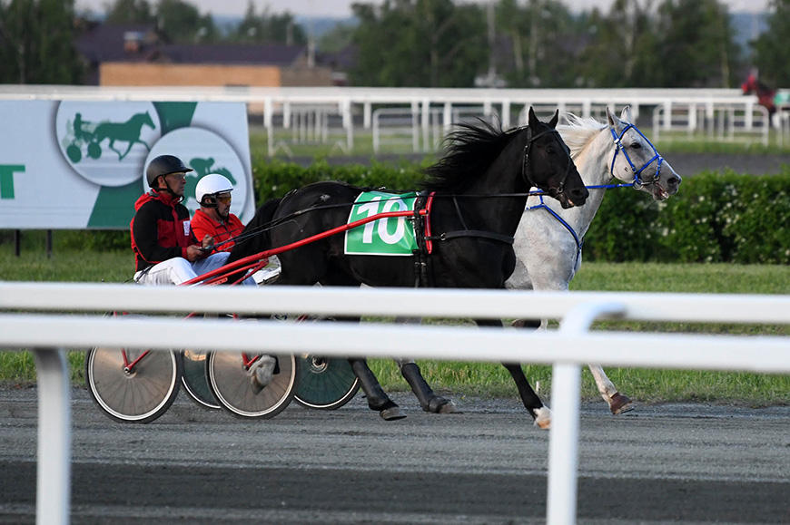 Скачки, заплывы, сбор даров и Салават: как Казань отметит Сабантуй