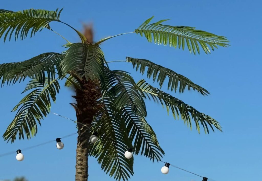 «Камское море», белый песок: как отдыхается на самом популярном пляже Татарстана