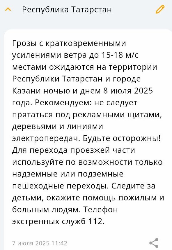 Ночью и днем 8 июля в Татарстане ожидаются грозы с сильным ветром