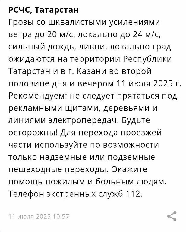 МЧС: вечером 11 июля в Татарстане пройдут грозы с сильным ветром