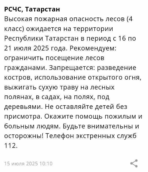 В Татарстане объявлено штормовое предупреждение о высокой пожарной опасности лесов