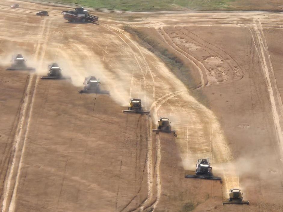 Минсельхозпрод назвал районы Татарстана, отстающие по уборке зерна и надоям молока