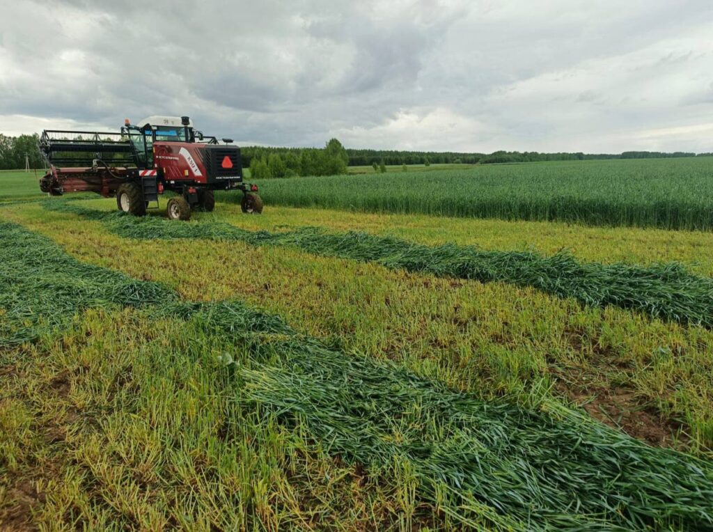 В Камском Устье тяжело с кормами, в Заинске – с надоями: представлен очередной рейтинг районов РТ