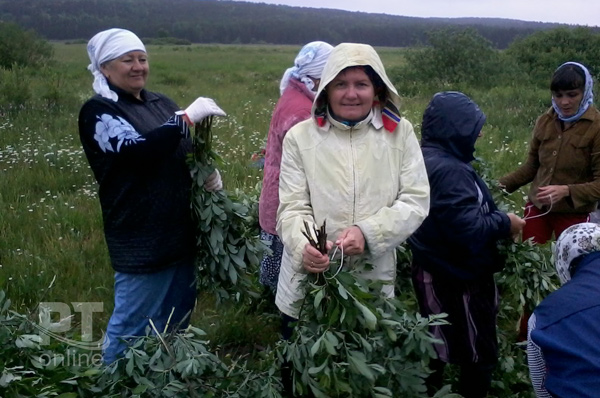 Погода в дубьязах. Дубъязская СОШ Высокогорского района. Село Дубъязы Высокогорский район. Жители деревни Дубъязы. Село Дубъязы Татарстан.