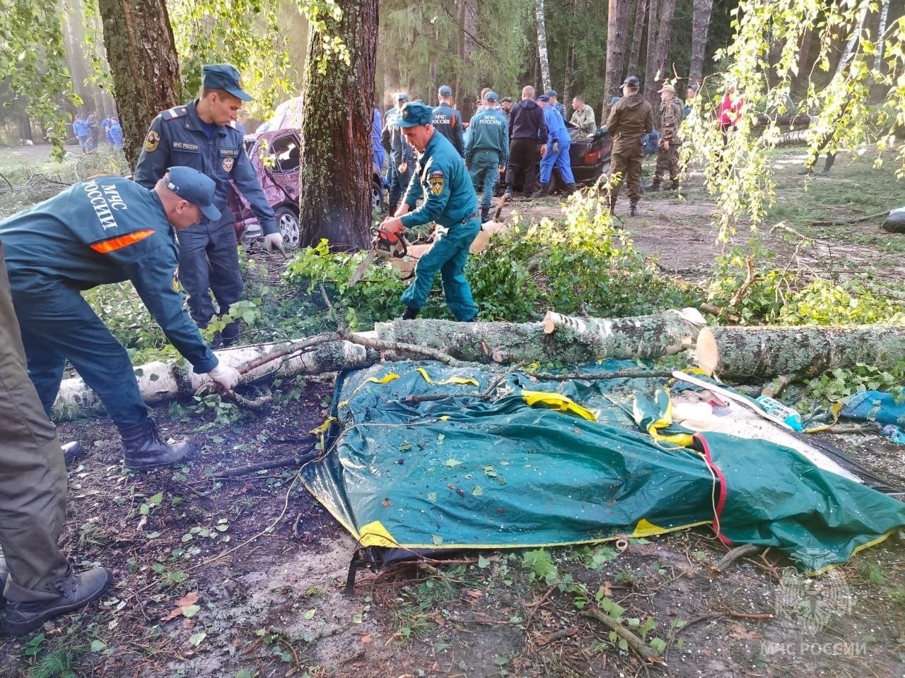 На озерах в Марий Эл шесть человек погибли во время урагана - Республика  Татарстан | РТ Онлайн