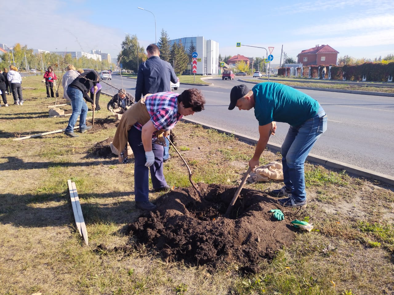 В Челнах высадили 860 деревьев и кустарников - Республика Татарстан | РТ  Онлайн