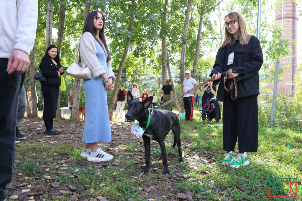 Важные уроки и рекорд «Лапы дружбы» в Казани